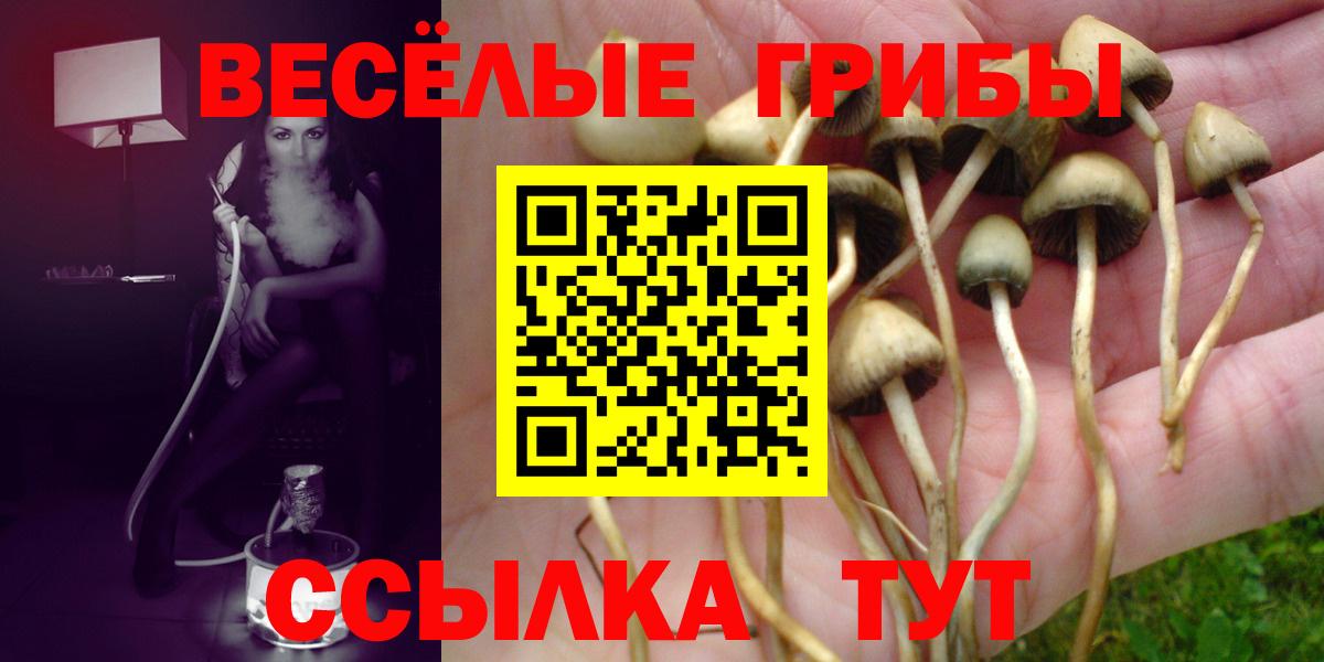 Псилоцибиновые грибы Psilocybine cubensis  Вход с VPN  Кумертау  Галлюциногенные грибы мицелий 