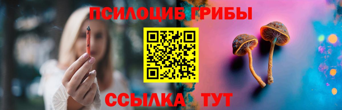 Галлюциногенные грибы прущие грибы Кумертау